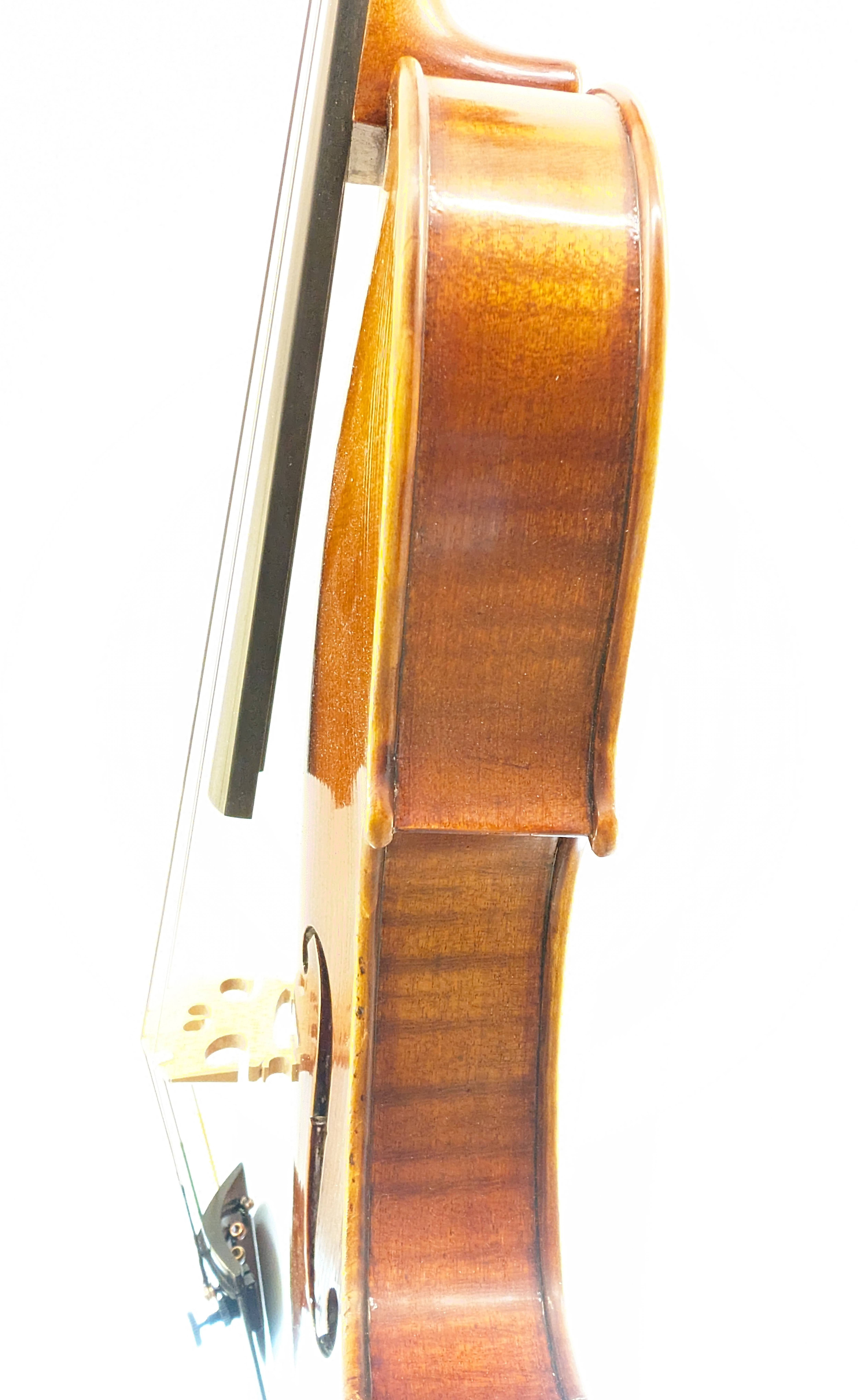 Scott Tchau(Scott Cao) 上級 4/4 虎杢 美品 楽器・機材